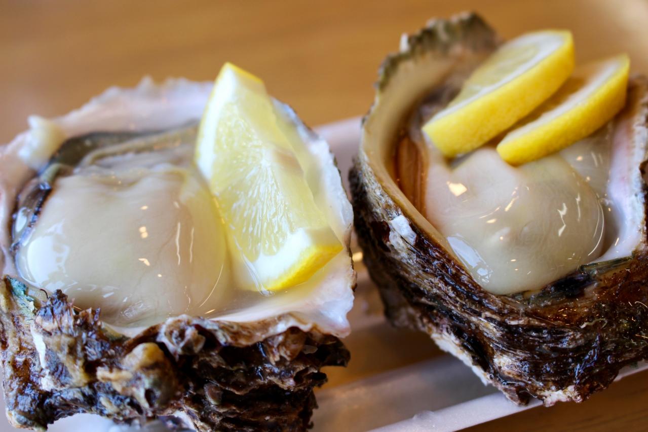 rock oysters