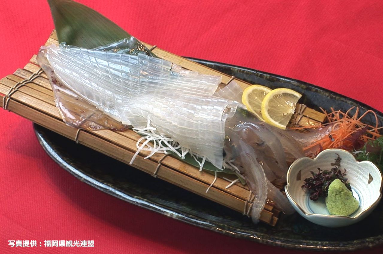 Ashiyan squid