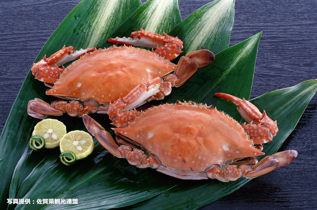 Takezaki crab