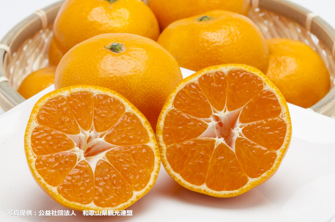 Wakayama Arita mandarin oranges