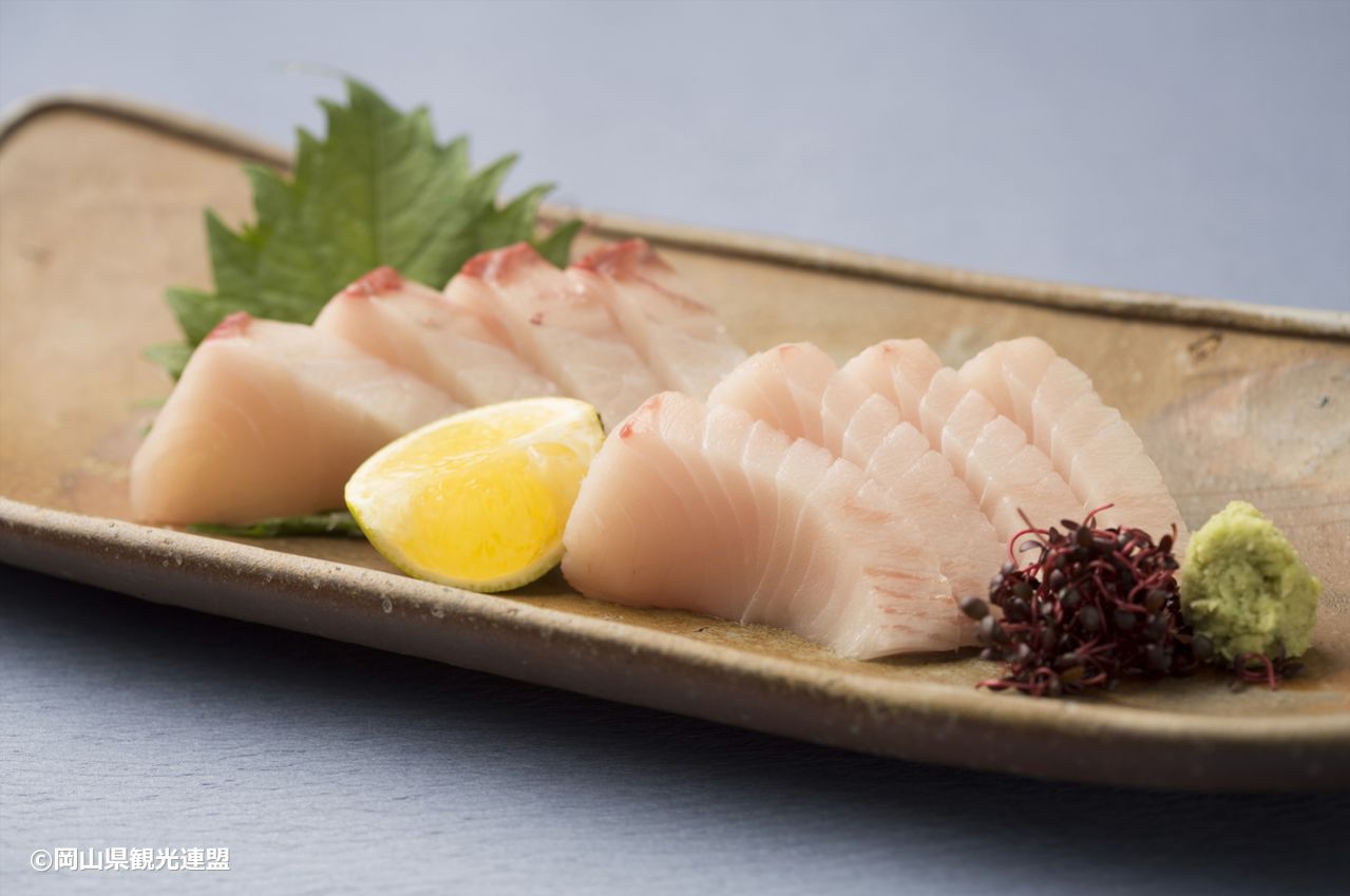 Spanish mackerel sashimi