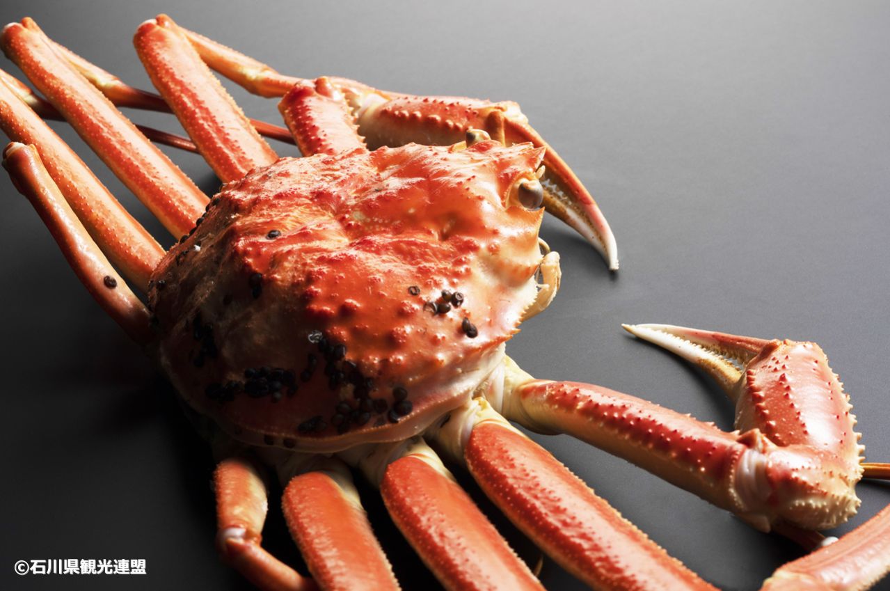 Kanō crab