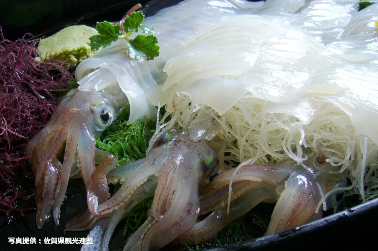 呼子 イカの活造り