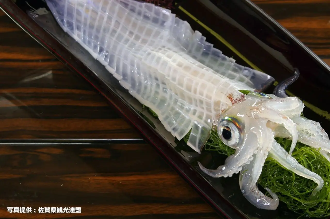 イカの活造り