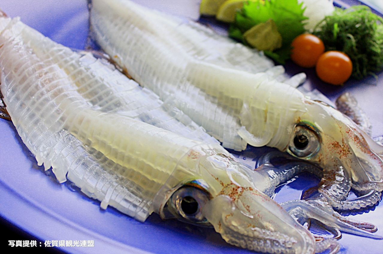 呼子 イカの活造り