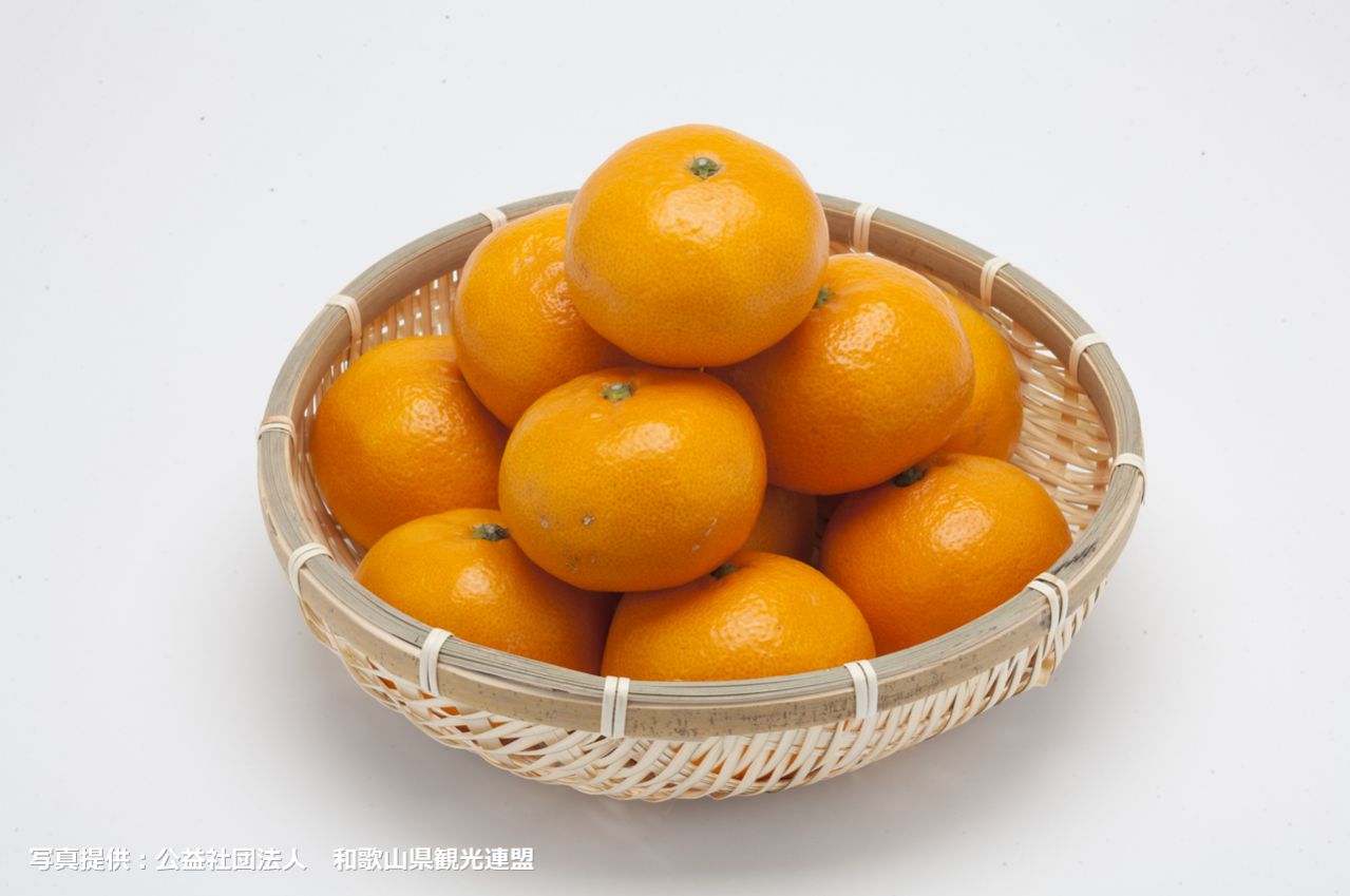 和歌山みかん