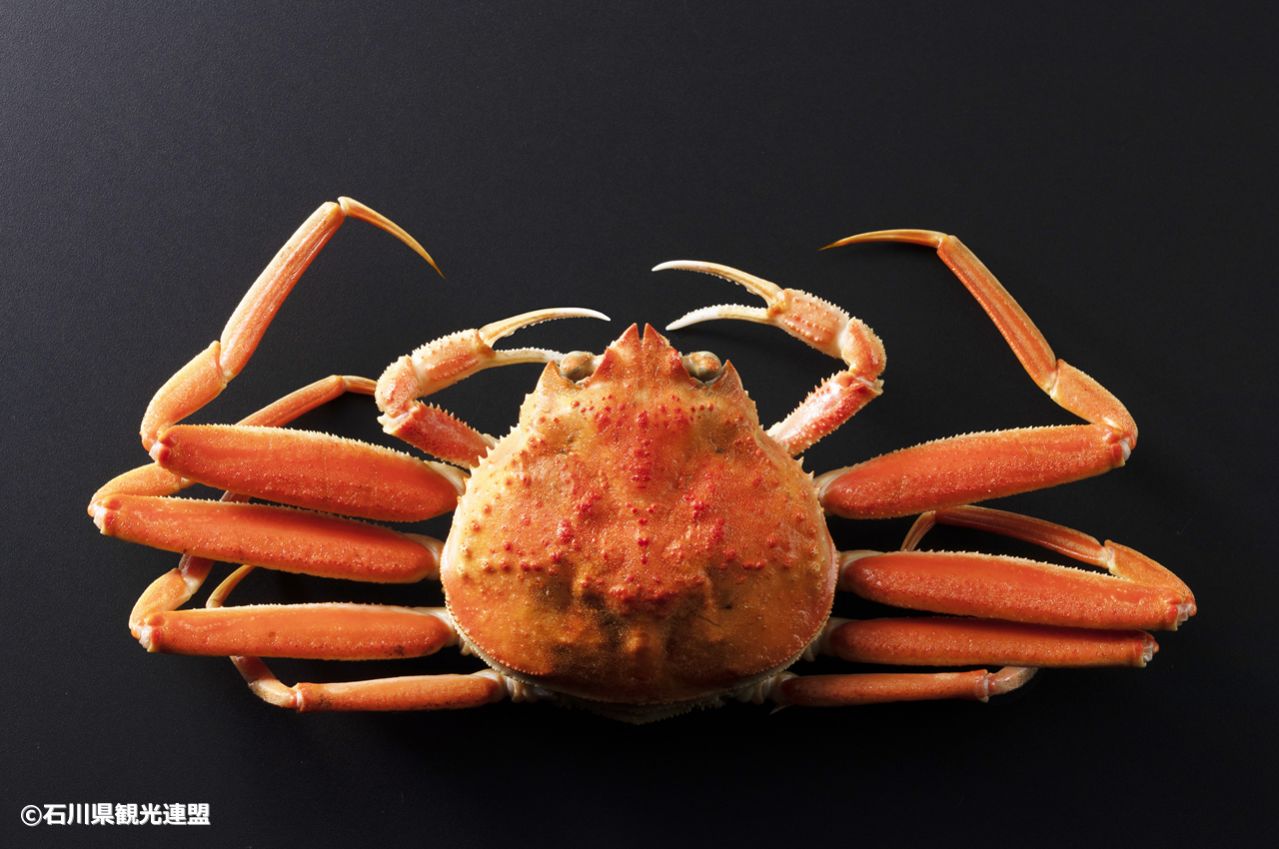 石川名物　香箱ガニ