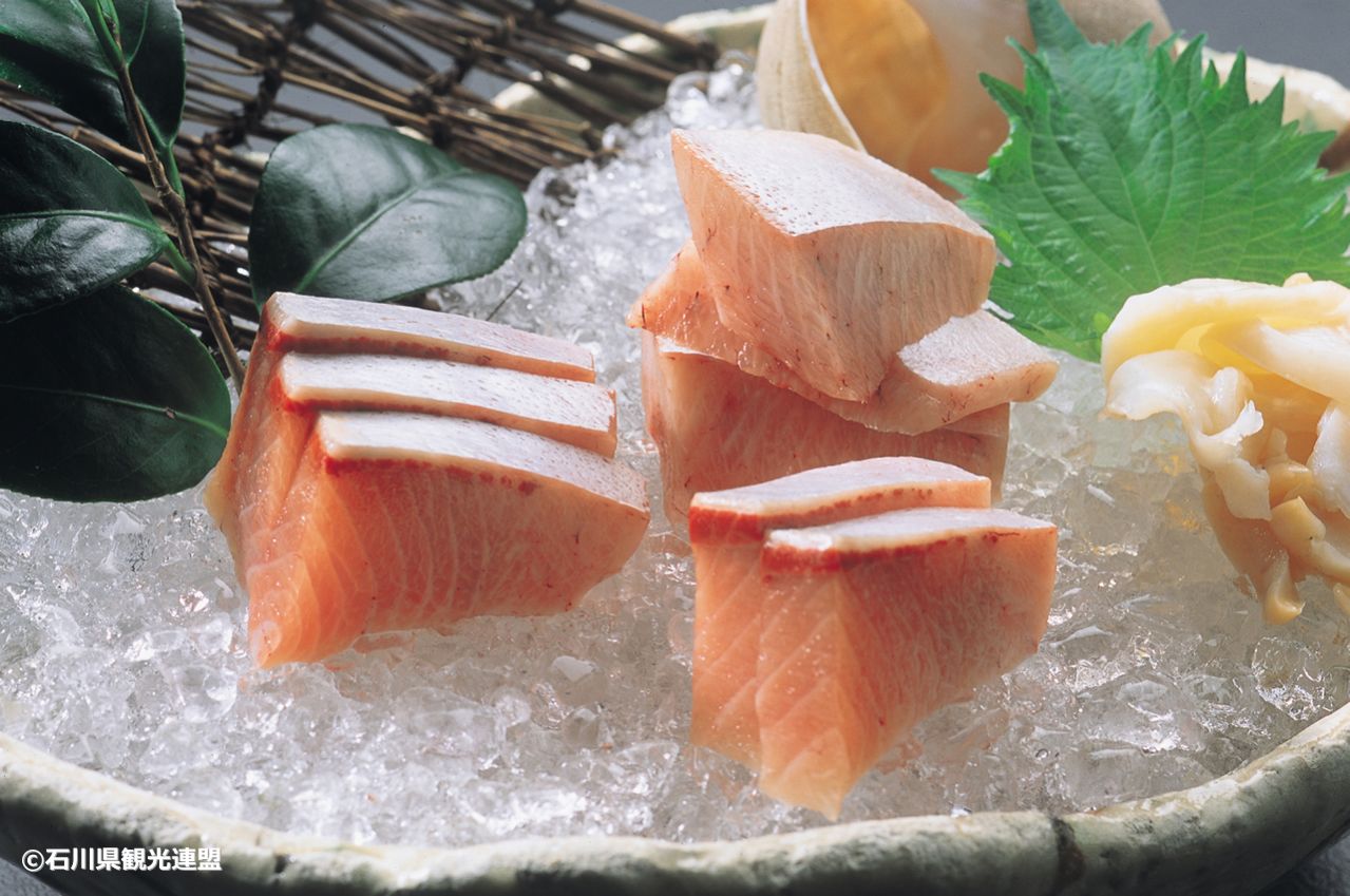 石川名物　寒ブリ刺身