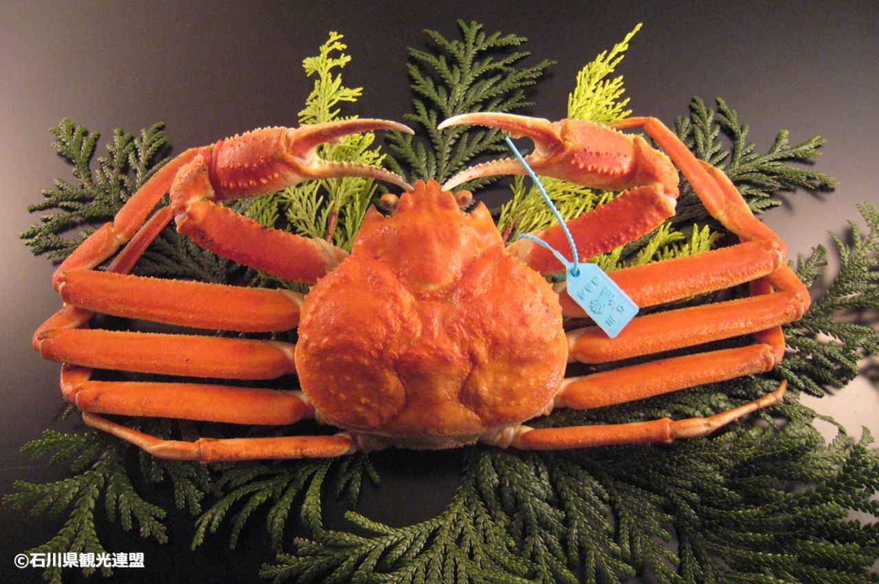 石川名物　加能ガニ