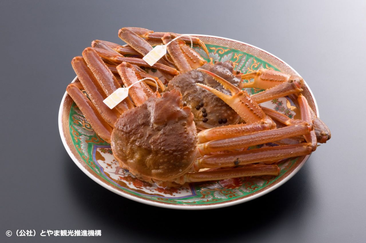 本ズワイガニ②