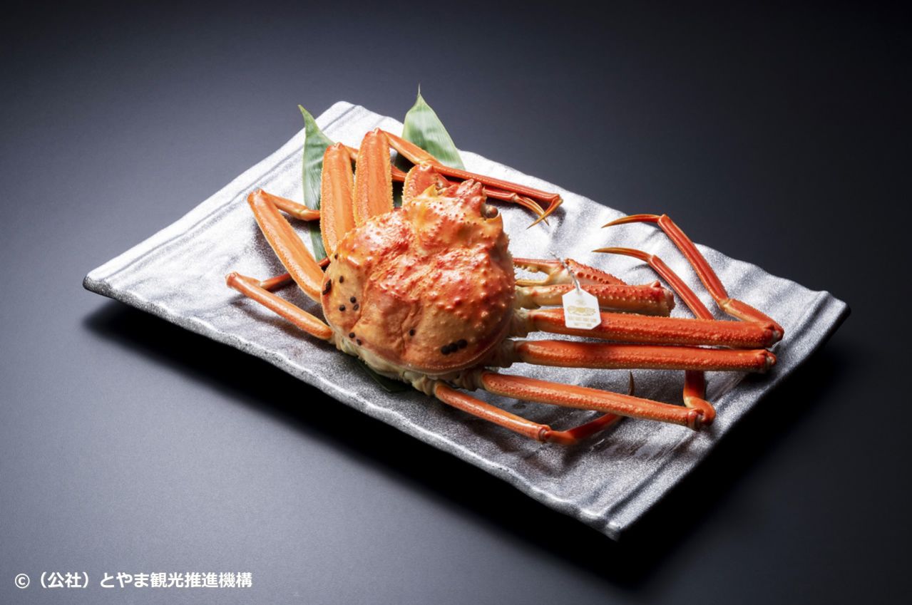 ズワイガニ 茹でガニ②