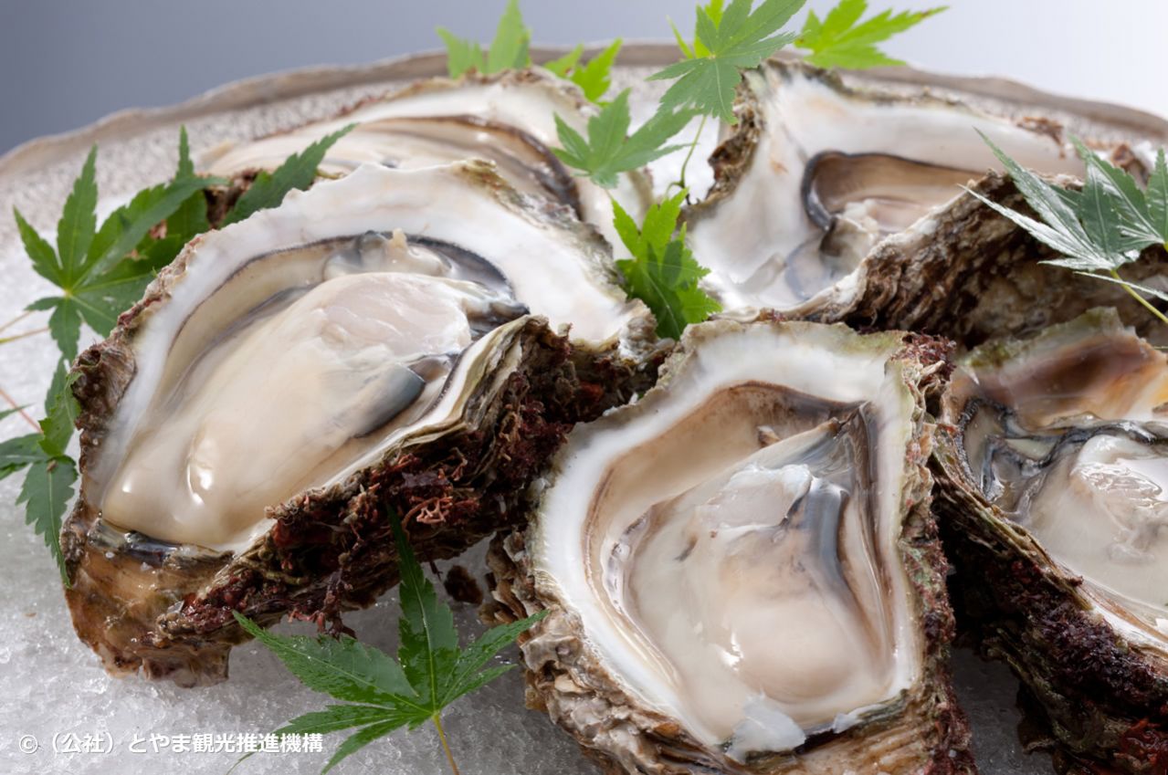 深層水仕込カキ