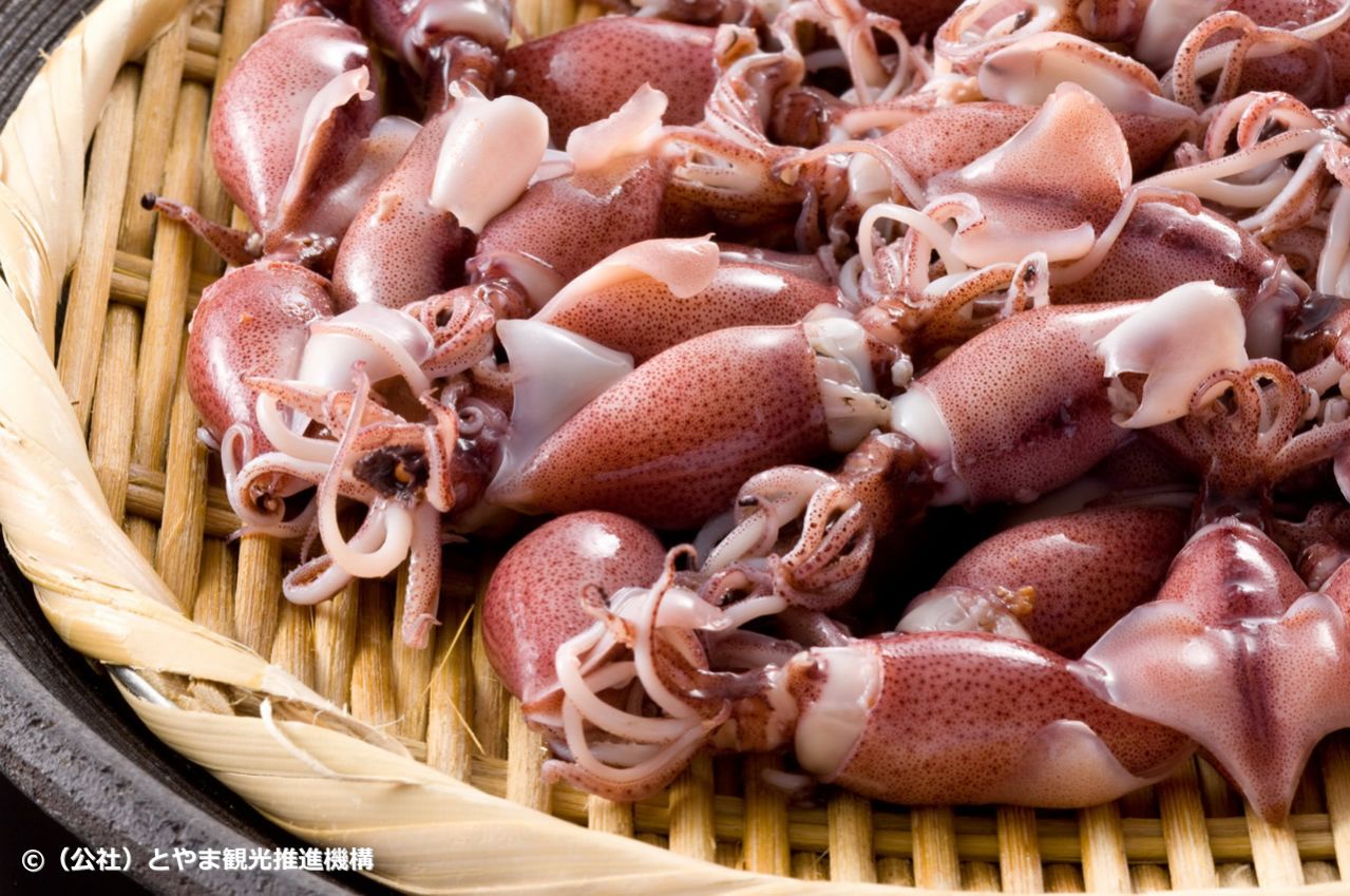 ホタルイカ釜揚げ②