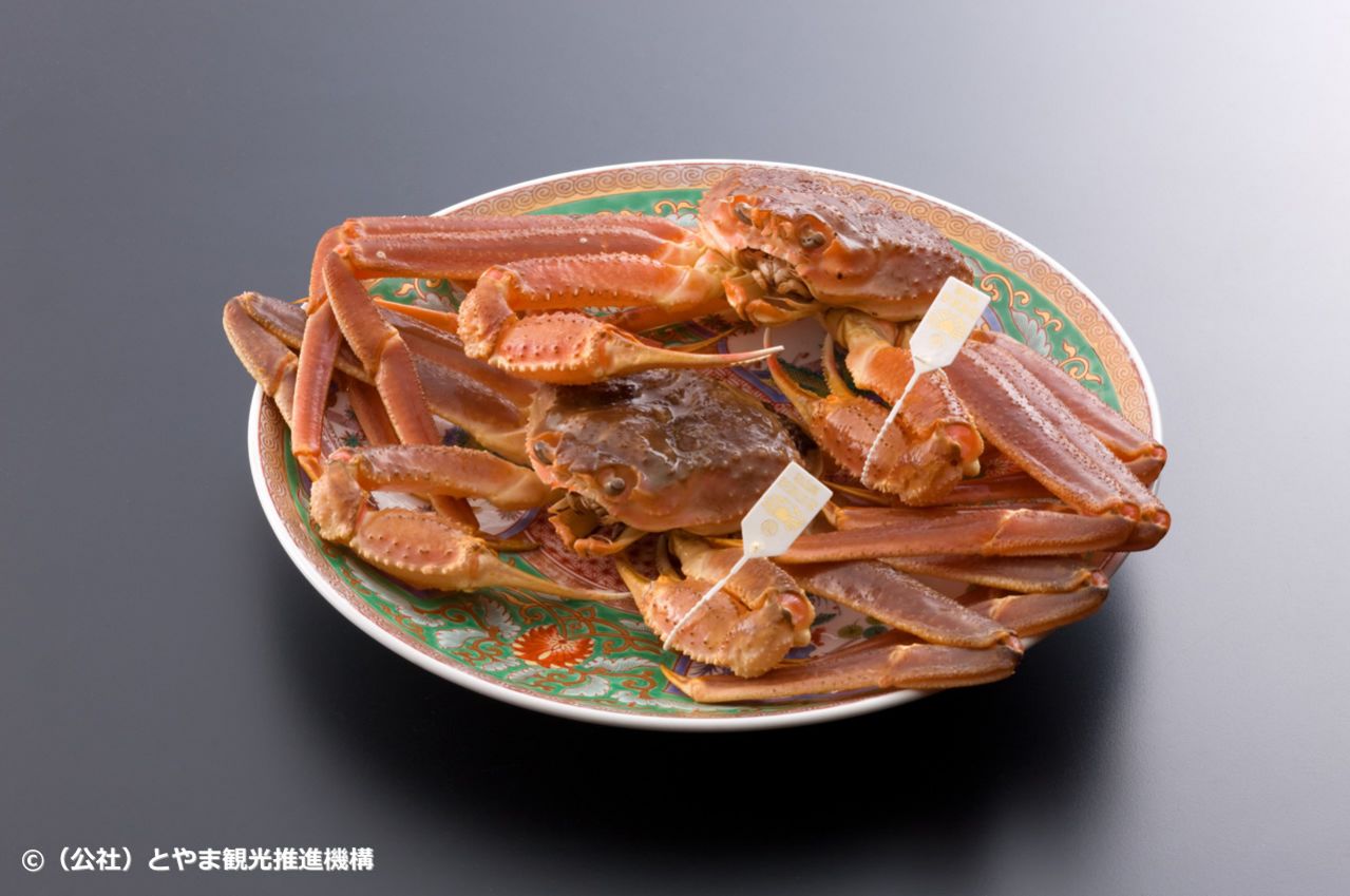 本ズワイガニ①