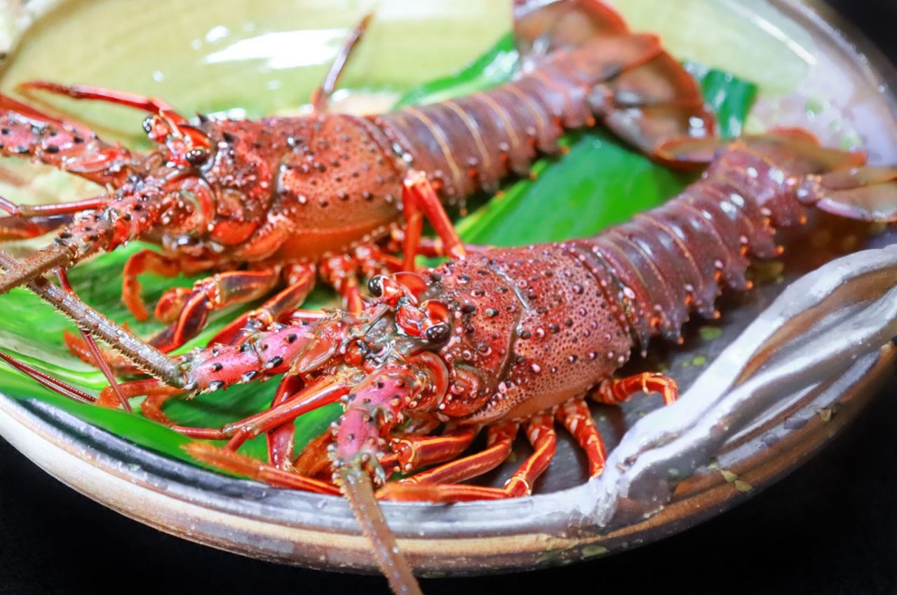 三重県の伊勢海老