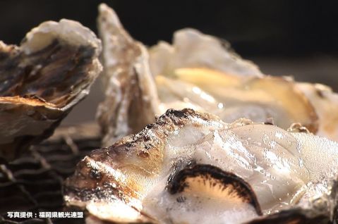 豊前海一粒かき