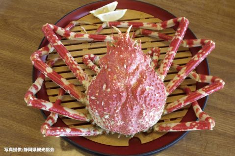 タカアシガニ
