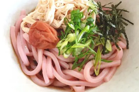 Plum Udon