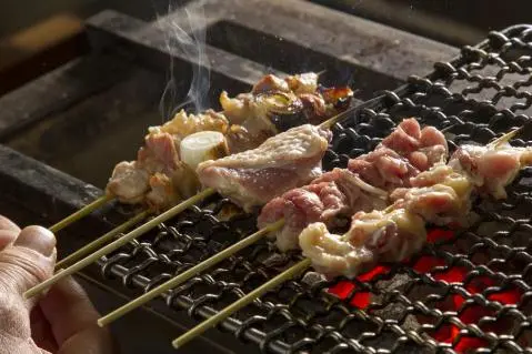오쿠쿠지 샤모 야키토리