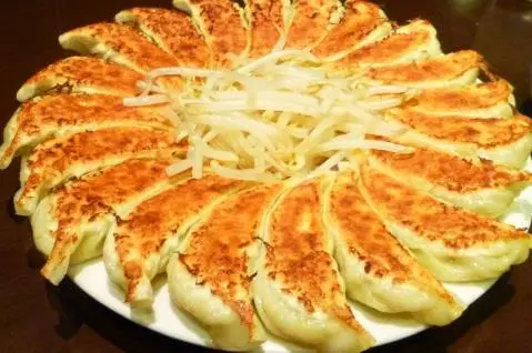 Hamamatsu Gyoza