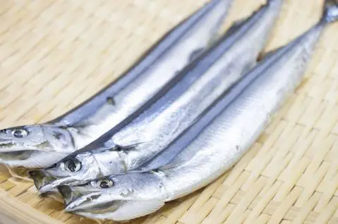 Sanma séchée entière