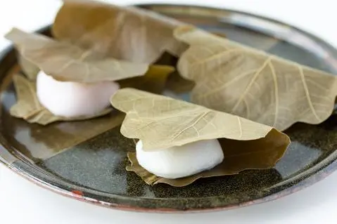Bánh Kashiwa