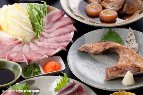 Toyama Kan-Buri (Winter Yellowtail)