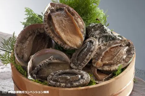 Bào Ngư